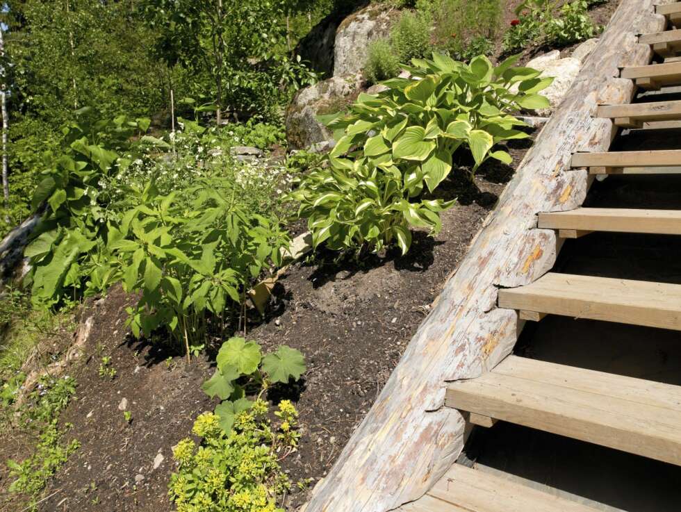 MAT FOR PLANTENE: Gjødsel fungerer som mat for plantene - så tilføre dette for at plantene skal utvikle seg. MAT FOR PLANTENE: Gjødsel fungerer som mat for plantene - så tilføre dette for at plantene skal utvikle seg.
