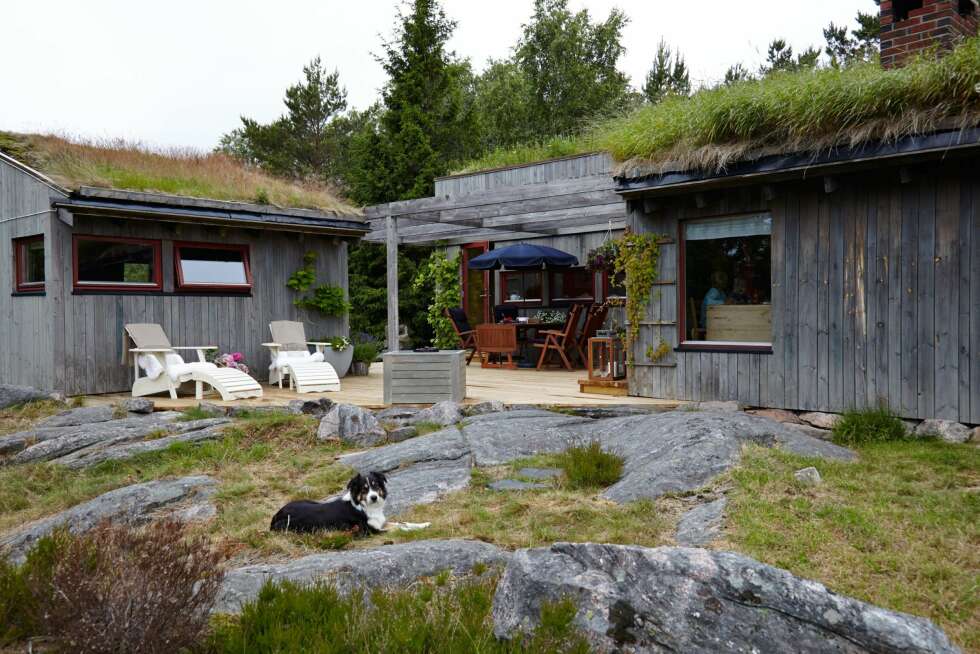 NATURTOMT: Terrassen bak annekset er en ren frokost- og tribuneterrasse. Her treffer morgensola først. Panelet flyter nesten umerkelig over i de gamle svabergene fra da havet sto høyere. De nye terrassebordene grånes med tiden NATURTOMT: Terrassen bak annekset er en ren frokost- og tribuneterrasse. Her treffer morgensola først. Panelet flyter nesten umerkelig over i de gamle svabergene fra da havet sto høyere. De nye terrassebordene grånes med tiden