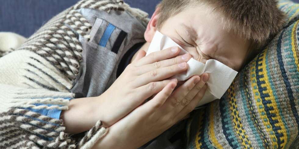 BIHULEBETENNELSE: Bihulene er utvokst i 10-12-årsalderen. Større barn er derfor mer utsatt for bihulebetennelse enn småbarn BIHULEBETENNELSE: Bihulene er utvokst i 10-12-årsalderen. Større barn er derfor mer utsatt for bihulebetennelse enn småbarn