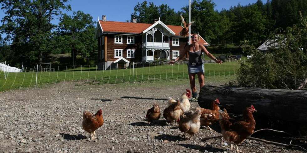 GÅRDSBUTIKKER: Veikåker gård i Noresund. GÅRDSBUTIKKER: Veikåker gård i Noresund.