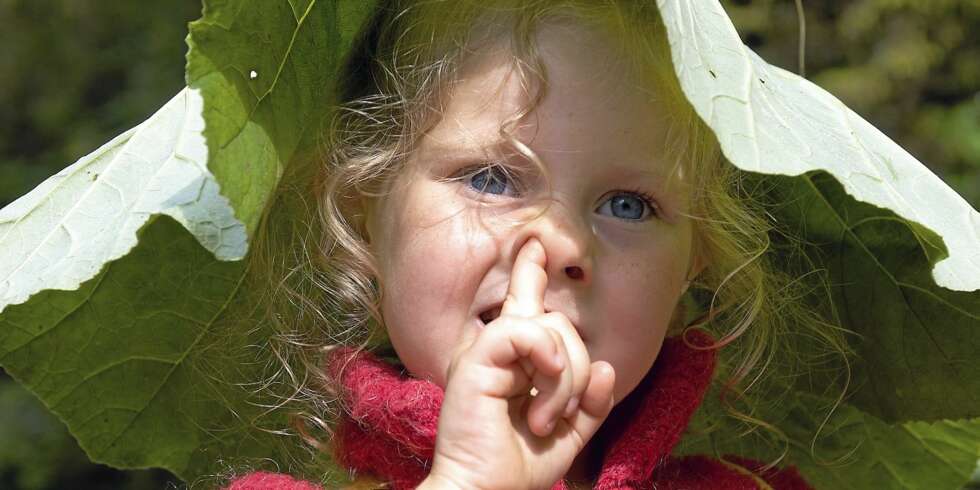 UVANE: Selv om det er naturlig å pille seg i nesen, trenger ikke barna putte neseinnholdet i munnen. UVANE: Selv om det er naturlig å pille seg i nesen, trenger ikke barna putte neseinnholdet i munnen.