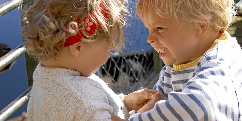 Det viktigste tipset for å få en harmonisk ferie er nok likevel at familiens voksne klarer å holde roen Det viktigste tipset for å få en harmonisk ferie er nok likevel at familiens voksne klarer å holde roen