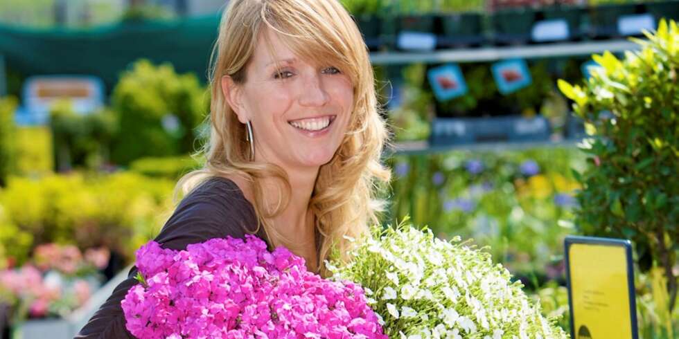 NETTSHOPPING: Ingen grunn til dra til samme hagesenter om og om igjen, når nettbutikkene frister med døgnåpen handel. NETTSHOPPING: Ingen grunn til dra til samme hagesenter om og om igjen, når nettbutikkene frister med døgnåpen handel.