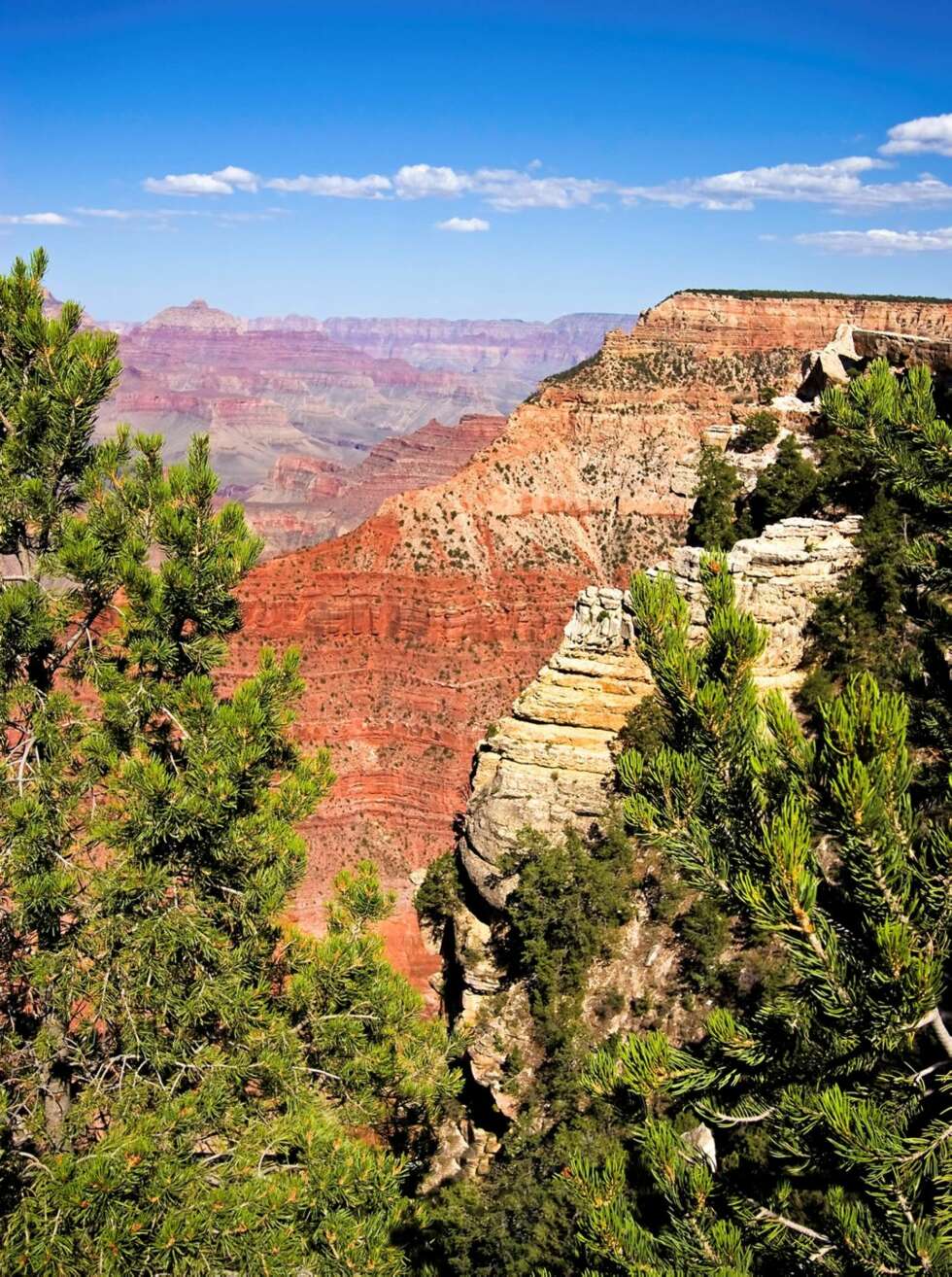 CANYON: Oppleve Copper Canyon i Mexico. CANYON: Oppleve Copper Canyon i Mexico.