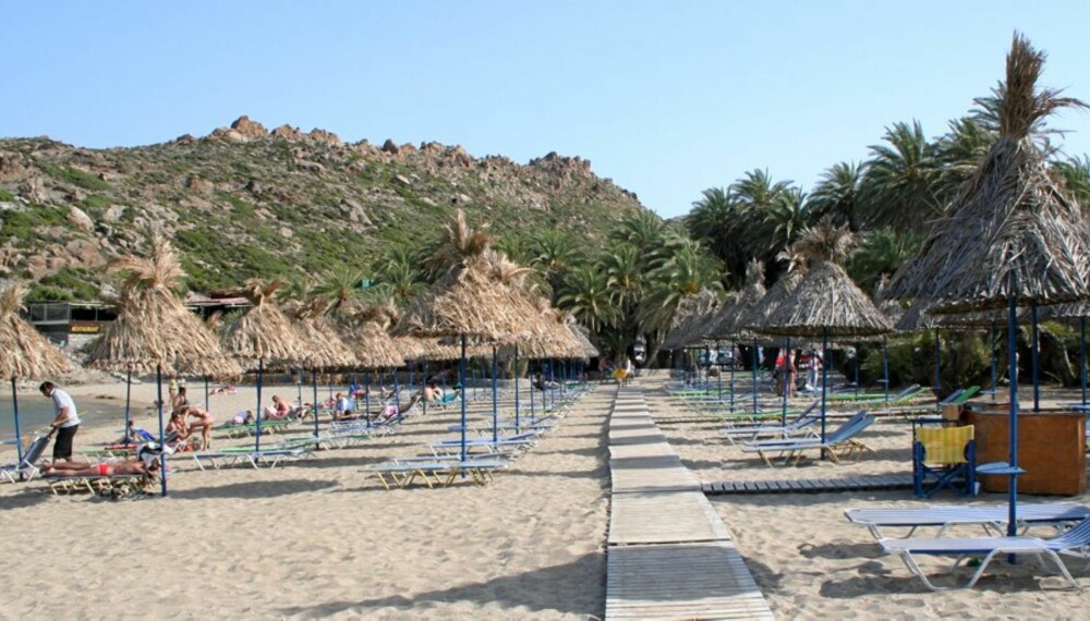 PALMESKOG: Ved Stranden Vai på Kreta vokser Europas største palmeskog. PALMESKOG: Ved Stranden Vai på Kreta vokser Europas største palmeskog.
