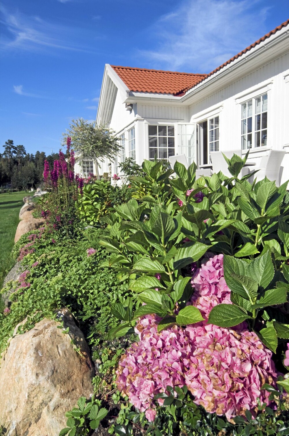 FAVORITTER: Kari Mette Glømmi har plantet slik at det til enhver tid er
noe som står i blomst. Fargene på blomstene er i nyanser av
rosa, lilla og blått. Hortensiaen i forgrunnen er en av hennes favoritter fordi den blomstrer i mange måneder. FAVORITTER: Kari Mette Glømmi har plantet slik at det til enhver tid er
noe som står i blomst. Fargene på blomstene er i nyanser av
rosa, lilla og blått. Hortensiaen i forgrunnen er en av hennes favoritter fordi den blomstrer i mange måneder.