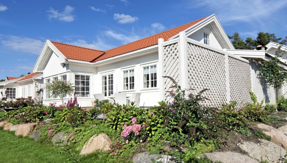 FRODIG OG TETT. Bedet er plantet tett, slik at ugresset ikke skal slippe til. For å gi øyet noe å hvile på er det også noen oppstammede busker i bedet. FRODIG OG TETT. Bedet er plantet tett, slik at ugresset ikke skal slippe til. For å gi øyet noe å hvile på er det også noen oppstammede busker i bedet.