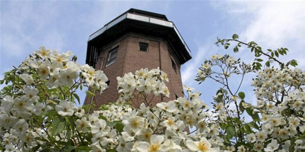 TÅRNBOLIG: I tillegg til heisen inneholder boligen en spiraltrapp på 87 trappetrinn som går igjennom hele tårnet. Kjekt å ha hvis heisen skulle stå. TÅRNBOLIG: I tillegg til heisen inneholder boligen en spiraltrapp på 87 trappetrinn som går igjennom hele tårnet. Kjekt å ha hvis heisen skulle stå.