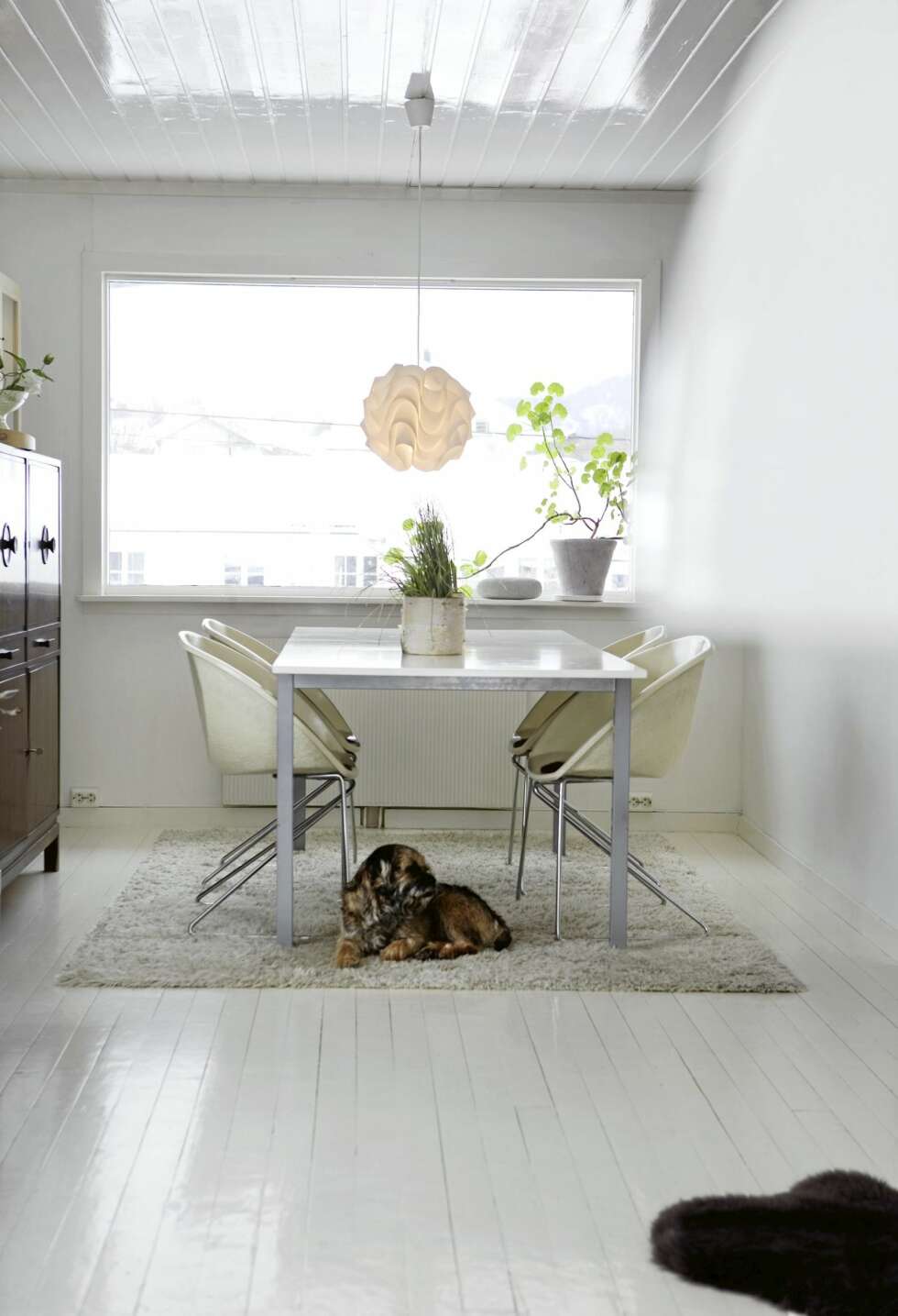 ET HERLIG ROM: Med så lette møber og lyse farger er dette godt rom å være i. Taklampe fra Le Klint og hvitmalt Ikea bordplate på stålunderstell. Pop Corn stoler signert Sven Ivar Dysthe. ET HERLIG ROM: Med så lette møber og lyse farger er dette godt rom å være i. Taklampe fra Le Klint og hvitmalt Ikea bordplate på stålunderstell. Pop Corn stoler signert Sven Ivar Dysthe.