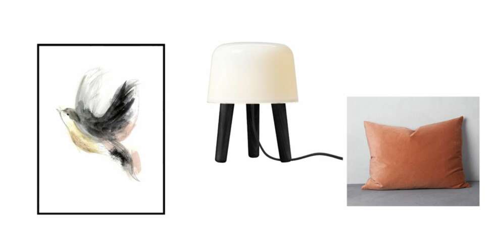 OVERSIKTLIG: På Bolina er utvalget godt og i tråd med trendene. Happy bird, bilde med ramme, kr 999, lampe fra AndTradition, kr 1199, og pute, kr 999, alt fra Bolina. OVERSIKTLIG: På Bolina er utvalget godt og i tråd med trendene. Happy bird, bilde med ramme, kr 999, lampe fra AndTradition, kr 1199, og pute, kr 999, alt fra Bolina.