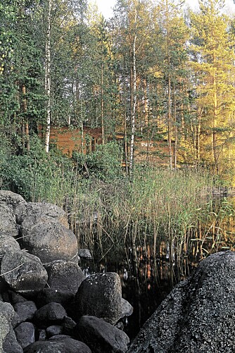 TILPASSET TERRENGET: Anlegget ligger nesten usynlig mellom trærne ned mot den grunne sjøen i Midt-finland. TILPASSET TERRENGET: Anlegget ligger nesten usynlig mellom trærne ned mot den grunne sjøen i Midt-finland.