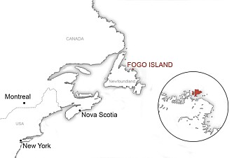 VIKTIGE OPPDAGELSER: Fogo Iland ligger bare et par hundre kilometer fra der Anne Stine og Helge Ingstad fant spor etter, og bevis for at vikingene var de første europeere som oppdaget Amerika. VIKTIGE OPPDAGELSER: Fogo Iland ligger bare et par hundre kilometer fra der Anne Stine og Helge Ingstad fant spor etter, og bevis for at vikingene var de første europeere som oppdaget Amerika.