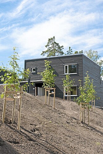 PASSIVHUS PÅ PLASS: Slik ser det ut på Rudshagen borettslag på Mortensrud sommeren 2011. Det er ingen som kan se at dette er et passivhus med 40 cm tykk isolasjon i yttervegger og gulv og 50 cm isolasjon i tak. PASSIVHUS PÅ PLASS: Slik ser det ut på Rudshagen borettslag på Mortensrud sommeren 2011. Det er ingen som kan se at dette er et passivhus med 40 cm tykk isolasjon i yttervegger og gulv og 50 cm isolasjon i tak.
