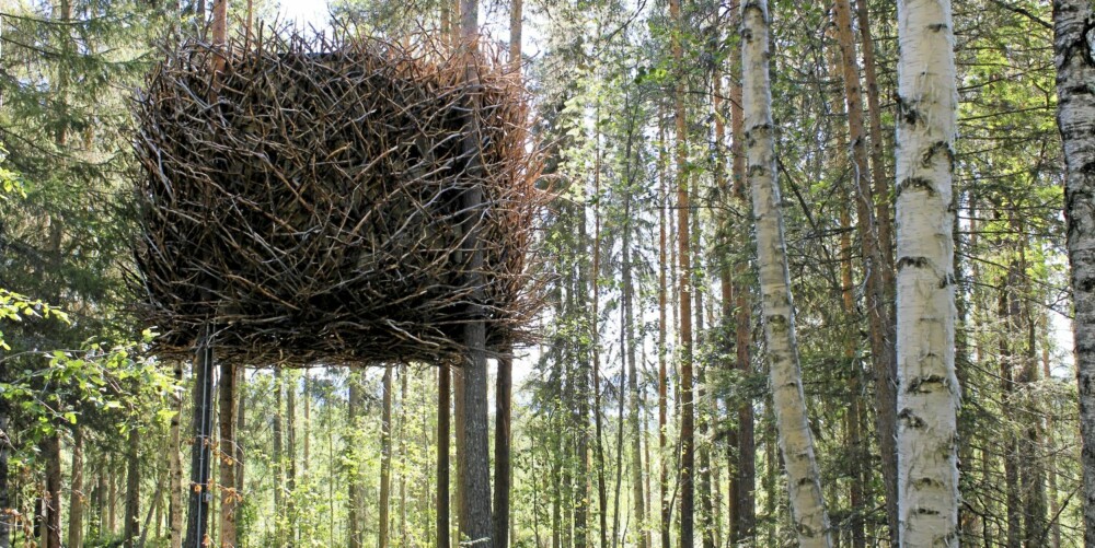 THE NEST: Det er bare størrelsen på dette reiret som skiller den fra andre i nærheten. Inne er det god standard med moderne design. THE NEST: Det er bare størrelsen på dette reiret som skiller den fra andre i nærheten. Inne er det god standard med moderne design.