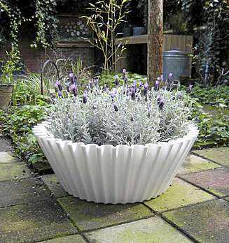 BLOMSTERPOTTE: De store kakeformene kan brukes til å plante friske og fristende blomster i hagen. BLOMSTERPOTTE: De store kakeformene kan brukes til å plante friske og fristende blomster i hagen.