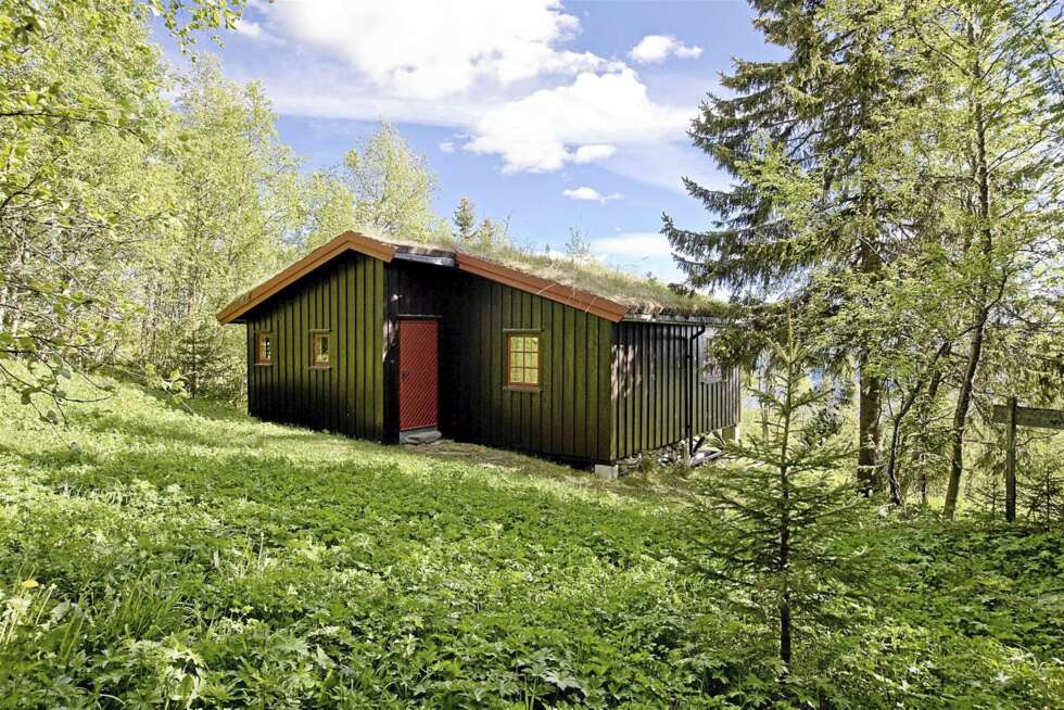 TIL SALGS PÅ FÅVANGFJELLET: Prisantydning: 750 000 kroner. 2 soverom. Primærrom 39 kvm. Byggeår 1972. Tomt 1.252 kvm. TIL SALGS PÅ FÅVANGFJELLET: Prisantydning: 750 000 kroner. 2 soverom. Primærrom 39 kvm. Byggeår 1972. Tomt 1.252 kvm.