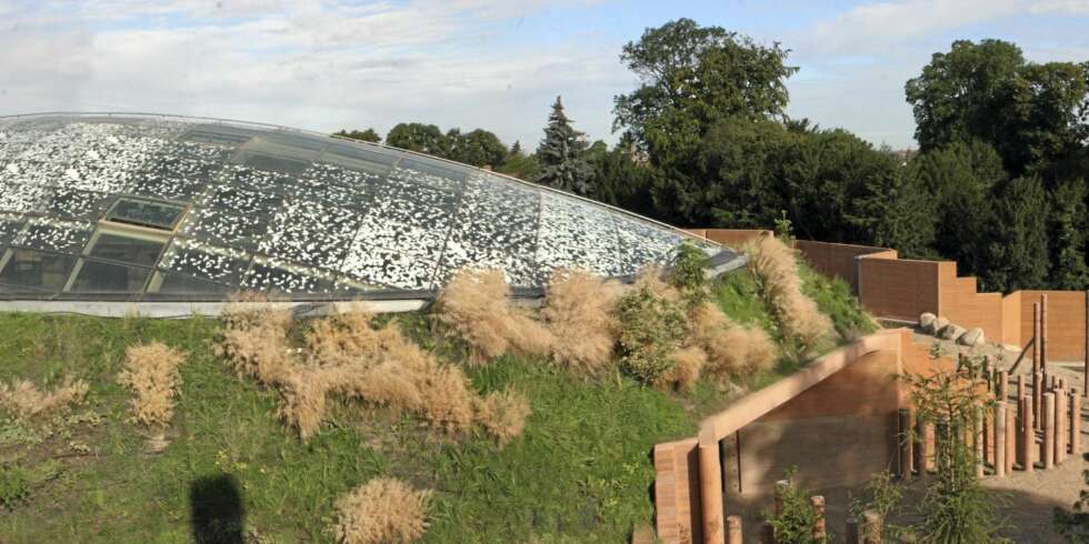 I VERDENSTOPPEN: Arkitekturen i elefantens hus er tegnet av Foster, som er verdenskjent arkitekt. I VERDENSTOPPEN: Arkitekturen i elefantens hus er tegnet av Foster, som er verdenskjent arkitekt.