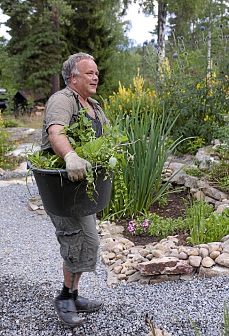 HAGEARBEID: Jeg gjør egentlig ikke så mye, men prøver å fjerne løv fra plenen. Hageredskapene rydder jeg bort før snøen kommer. HAGEARBEID: Jeg gjør egentlig ikke så mye, men prøver å fjerne løv fra plenen. Hageredskapene rydder jeg bort før snøen kommer.