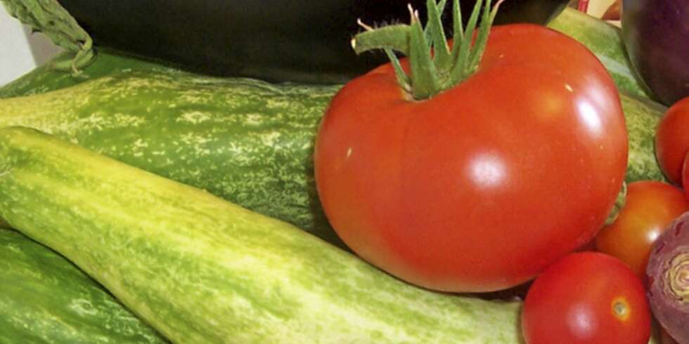 PLANT SELV: Plant i vei hvis du vil forsyne deg med "egenprodusert" omat, agurk og squash PLANT SELV: Plant i vei hvis du vil forsyne deg med "egenprodusert" omat, agurk og squash