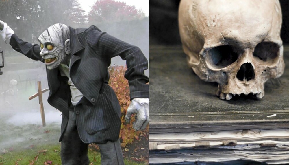 BØH! Hodeskaller og skumle gresskar, til halloween skal det være grøssensde skummelt. BØH! Hodeskaller og skumle gresskar, til halloween skal det være grøssensde skummelt.