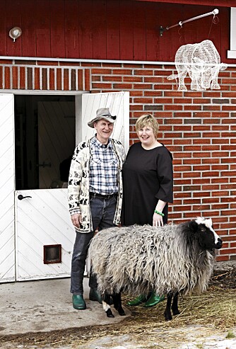 SAMLET. Glasskunstnerne Willy Andersson og Astrid Hanssen sammen med spælsauen Magnus, sistnevnte er også innesau. Oksen på veggen er fra Eka Acosta. SAMLET. Glasskunstnerne Willy Andersson og Astrid Hanssen sammen med spælsauen Magnus, sistnevnte er også innesau. Oksen på veggen er fra Eka Acosta.