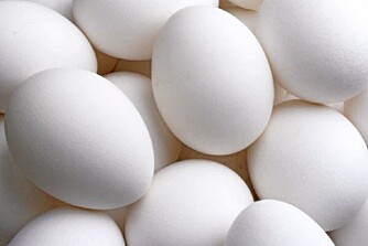 UTROLIG, MEN SANT: Visste du at eggeskal kan brukes til å rengjøre vaser med? Nei? Nå gjør du det. UTROLIG, MEN SANT: Visste du at eggeskal kan brukes til å rengjøre vaser med? Nei? Nå gjør du det.