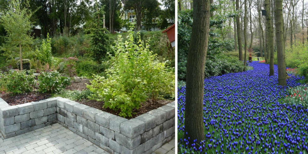 PLANTEPLANER: Du vil kunne få hjelp til å finne ut hva du burde plante hvor. PLANTEPLANER: Du vil kunne få hjelp til å finne ut hva du burde plante hvor.