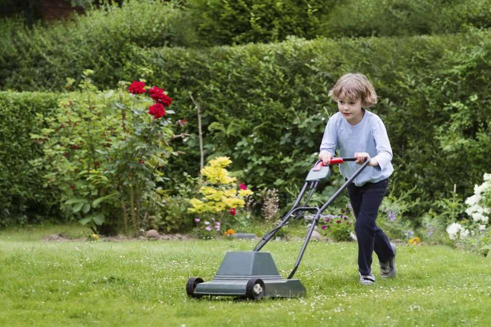 KLIPP, KLIPP: La nabobarna klippe gresset - helt skattefritt og helt lovlig. KLIPP, KLIPP: La nabobarna klippe gresset - helt skattefritt og helt lovlig.