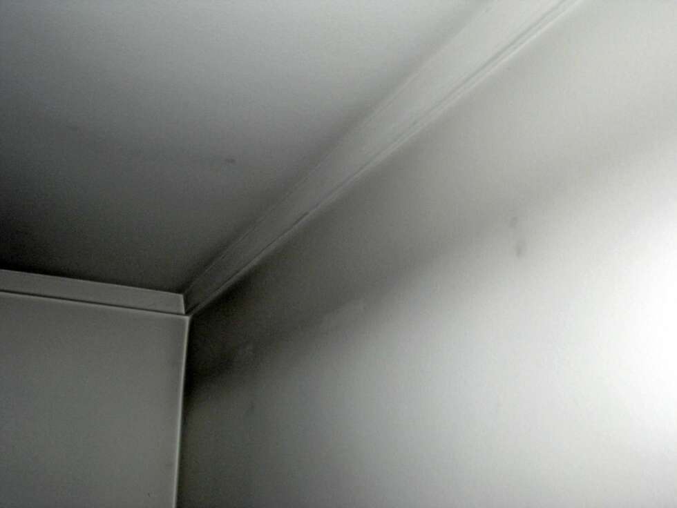 HEKSESOT: Heksesot er et økoende problem i mange boliger, spesielt i nye eller nyoppussede hvor det samtidig fyres med ved. HEKSESOT: Heksesot er et økoende problem i mange boliger, spesielt i nye eller nyoppussede hvor det samtidig fyres med ved.