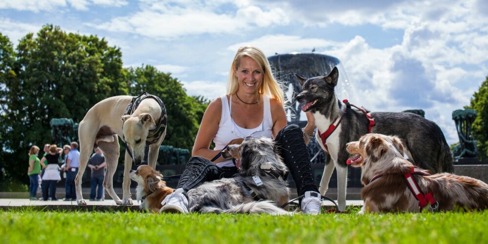 BARNEOPPDRAGELSE: Tess Erngren mener Erngren ser flere likheter mellom hundedressur og barneoppdragelse. Den røde tråden er i alle tilfellene belønning av positiv adferd fremfor å straffe negativ adferd. Hun er hundeinstruktør og hundepsykolog. BARNEOPPDRAGELSE: Tess Erngren mener Erngren ser flere likheter mellom hundedressur og barneoppdragelse. Den røde tråden er i alle tilfellene belønning av positiv adferd fremfor å straffe negativ adferd. Hun er hundeinstruktør og hundepsykolog.