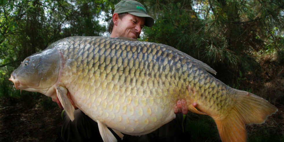 KJENT, STOR FISK: Fiskeren Benjamin Spaniel med fisken Dougie på over 30 kilo. Bildet er tatt i Rainbow Lake i Frankrike. FOTO: Northern Baits Krillers Boilies KJENT, STOR FISK: Fiskeren Benjamin Spaniel med fisken Dougie på over 30 kilo. Bildet er tatt i Rainbow Lake i Frankrike. FOTO: Northern Baits Krillers Boilies