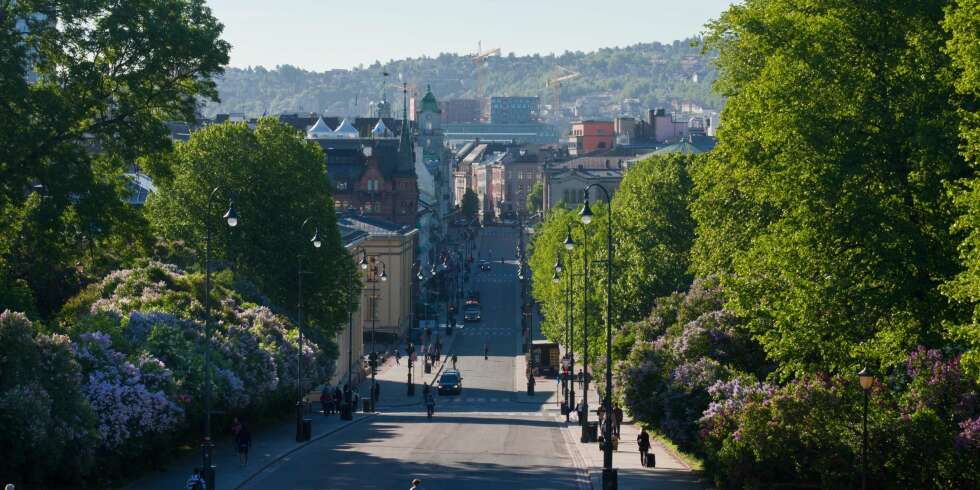 VERRE ENN ANTATT: Beregninger gjennomført av Norsk Institutt for Luftforskning viser at luftkvaliteten i Oslo i 2025 vil være verre en tidligere antatt.
Illustrasjonsfoto: Colourbox VERRE ENN ANTATT: Beregninger gjennomført av Norsk Institutt for Luftforskning viser at luftkvaliteten i Oslo i 2025 vil være verre en tidligere antatt.
Illustrasjonsfoto: Colourbox