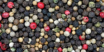 PEPPER: Det er mulig bruke en krydderpose. PEPPER: Det er mulig bruke en krydderpose.