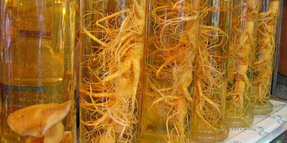 STRESSDEMPENDE: Ginseng på et marked i Korea. STRESSDEMPENDE: Ginseng på et marked i Korea.
