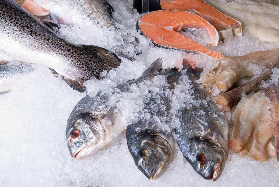 FISKEALLERGI: Det er viktig å få i seg nok omega 3 dersom du ikke spiser fisk. FOTO: Colourbox. FISKEALLERGI: Det er viktig å få i seg nok omega 3 dersom du ikke spiser fisk. FOTO: Colourbox.