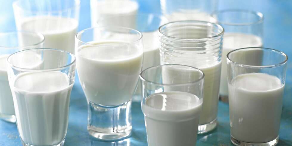 IKKE OVERDRIV: Barn kan drikke kumelk fra cirka ett års alder. Men inntaket bør ikke overstiger med enn halv liter, inkludert yoghurt. Dette fordi melk kan fortrenge annen næringsrik føde som kjøtt, fisk og egg. IKKE OVERDRIV: Barn kan drikke kumelk fra cirka ett års alder. Men inntaket bør ikke overstiger med enn halv liter, inkludert yoghurt. Dette fordi melk kan fortrenge annen næringsrik føde som kjøtt, fisk og egg.