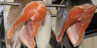 A-VITAMIN: Finnes i fet fisk. A-VITAMIN: Finnes i fet fisk.