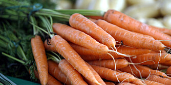 VITAMIN A: Gulrøtter er fulle av vitamin A, er fulle av smak og betakaroten. VITAMIN A: Gulrøtter er fulle av vitamin A, er fulle av smak og betakaroten.