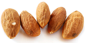 VITAMIN E: 35 mandler dekker dagsbehovet for vitamin E. ILLUSTRASJONSFOTO: Colourbox VITAMIN E: 35 mandler dekker dagsbehovet for vitamin E. ILLUSTRASJONSFOTO: Colourbox