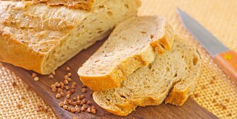 bread bread