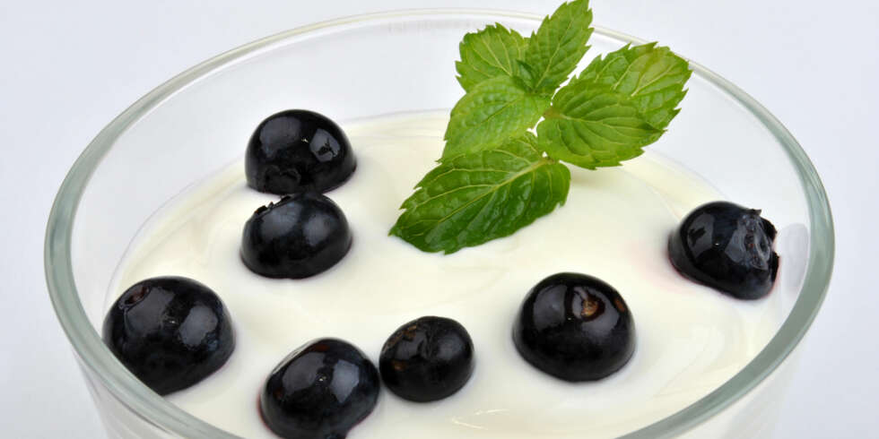 BLÅBÆRDESSERT: Søtsugen? Prøv soyayoghurt og blåbær. ILLUSTRASJONSFOTO: Colourbox BLÅBÆRDESSERT: Søtsugen? Prøv soyayoghurt og blåbær. ILLUSTRASJONSFOTO: Colourbox