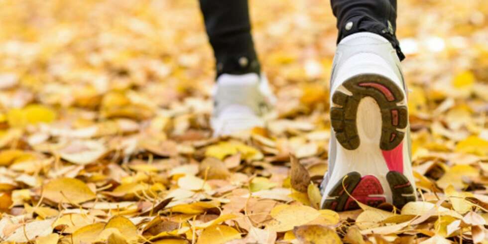 UT PÅ TUR! Du får mye igjen for å ta på deg joggeskoene. UT PÅ TUR! Du får mye igjen for å ta på deg joggeskoene.