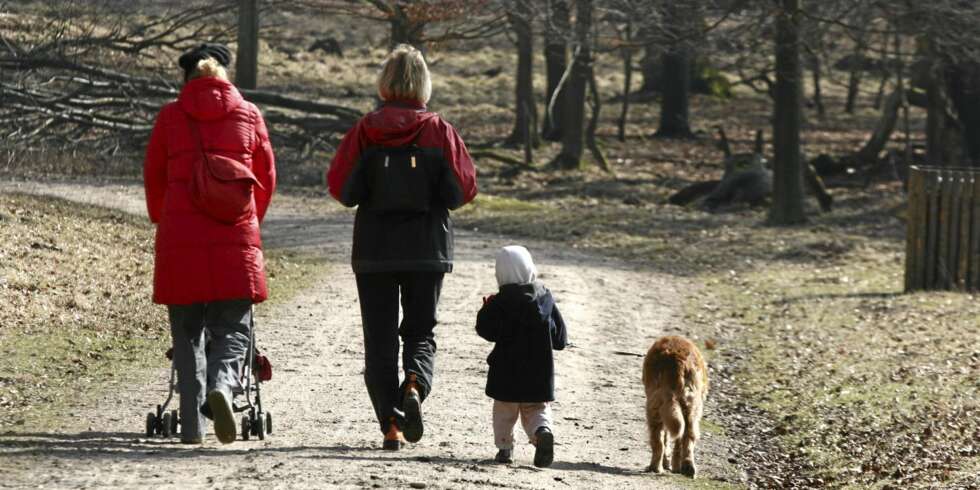 FAMILIEAKTIVITET: Ofte bidrar en hund til at hele familien beveger seg mer, barna utvikler tidligere empati og ansvarsfølelse, og for enslige gir hunden godt selskap i tillegg til mosjon. FAMILIEAKTIVITET: Ofte bidrar en hund til at hele familien beveger seg mer, barna utvikler tidligere empati og ansvarsfølelse, og for enslige gir hunden godt selskap i tillegg til mosjon.