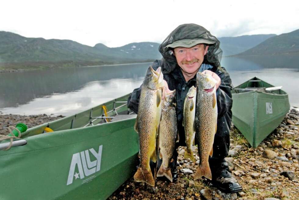 FISKEBETT: Først i det siste vannet slår fiskebettet ordentlig til og Peter lander noen fine eksemplarer i Vollevatn. FISKEBETT: Først i det siste vannet slår fiskebettet ordentlig til og Peter lander noen fine eksemplarer i Vollevatn.