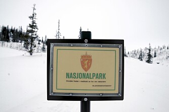 NASJONALPARK: Børgefjell er en av de mest uberørte av våre nasjonalparker. NASJONALPARK: Børgefjell er en av de mest uberørte av våre nasjonalparker.