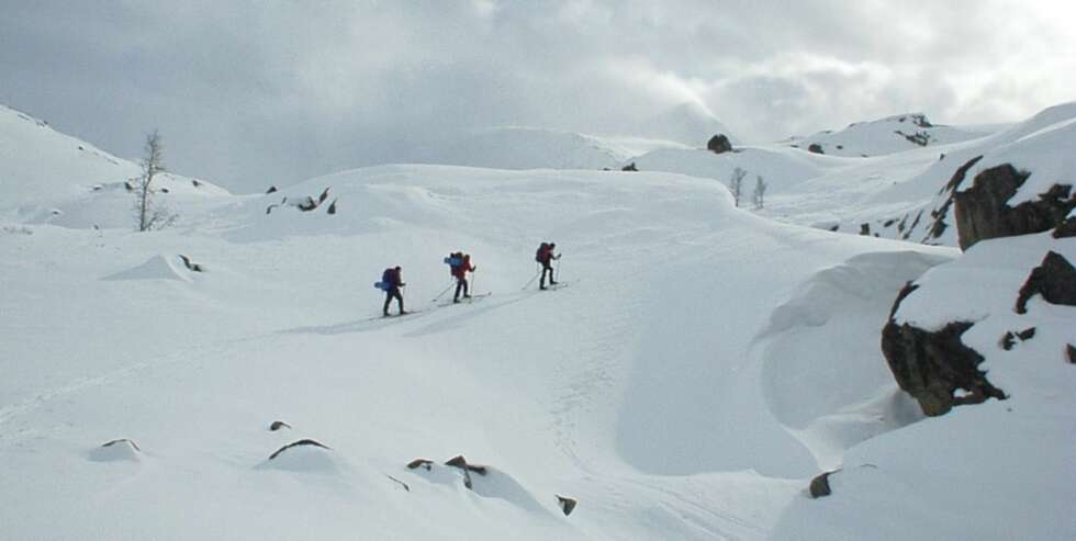 NARVIKFJELLENE NARVIKFJELLENE