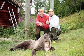 NORSK-SVENSK: Denne bjørnen ble felt i augist 2008 av jaktlaget til Bjørn Løvstad, ikke langt fra der Vi Menn deltok på bjørnejakt. Jegerne på bildet heter Staffan Moberg og Ove Larsen. NORSK-SVENSK: Denne bjørnen ble felt i augist 2008 av jaktlaget til Bjørn Løvstad, ikke langt fra der Vi Menn deltok på bjørnejakt. Jegerne på bildet heter Staffan Moberg og Ove Larsen.