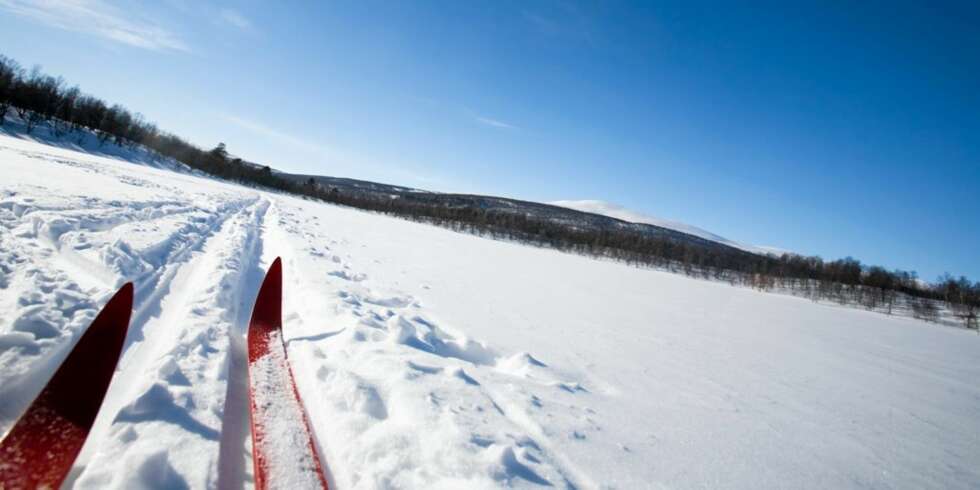 Ingenting er som en langrennstur i flotte løyper for skipatrioter. Ingenting er som en langrennstur i flotte løyper for skipatrioter.