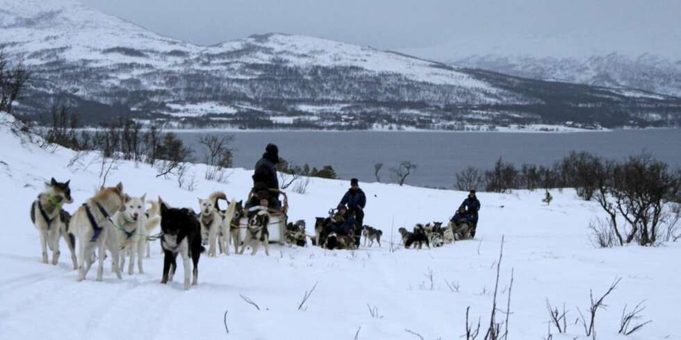 VÅT SNØ: Dagen vi var ute var det mildvær og det regnet, noe som gjorde det ekstra tungt for hundene. VÅT SNØ: Dagen vi var ute var det mildvær og det regnet, noe som gjorde det ekstra tungt for hundene.