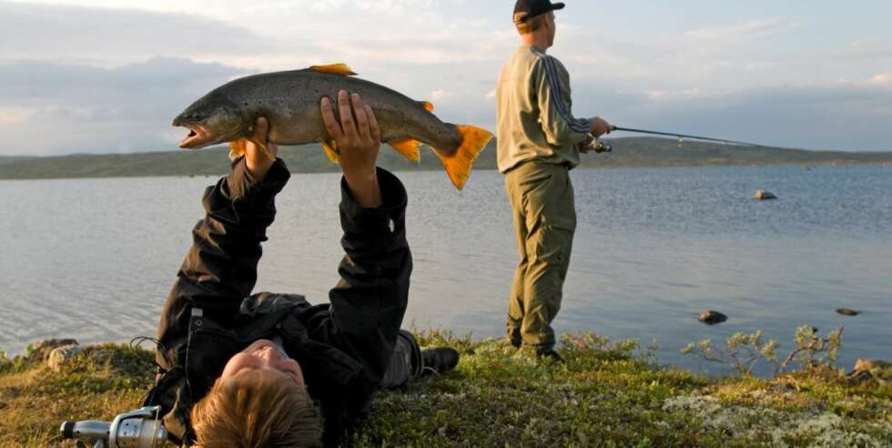 SKJERJAS SKATTKISTE: En slik ørret er svaret på mange sportsfiskeres drømmer! SKJERJAS SKATTKISTE: En slik ørret er svaret på mange sportsfiskeres drømmer!